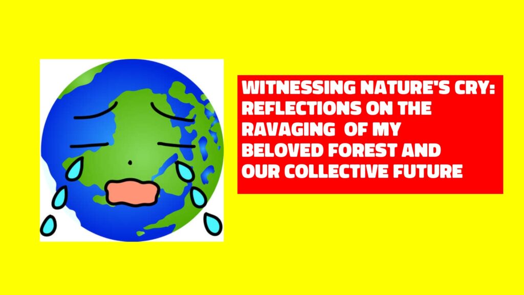 Witnessing Nature's Cry: Reflections on the Ravaging of My Beloved Forest and Our Collective Future