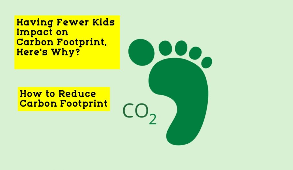 How to Reduce Carbon Footprint