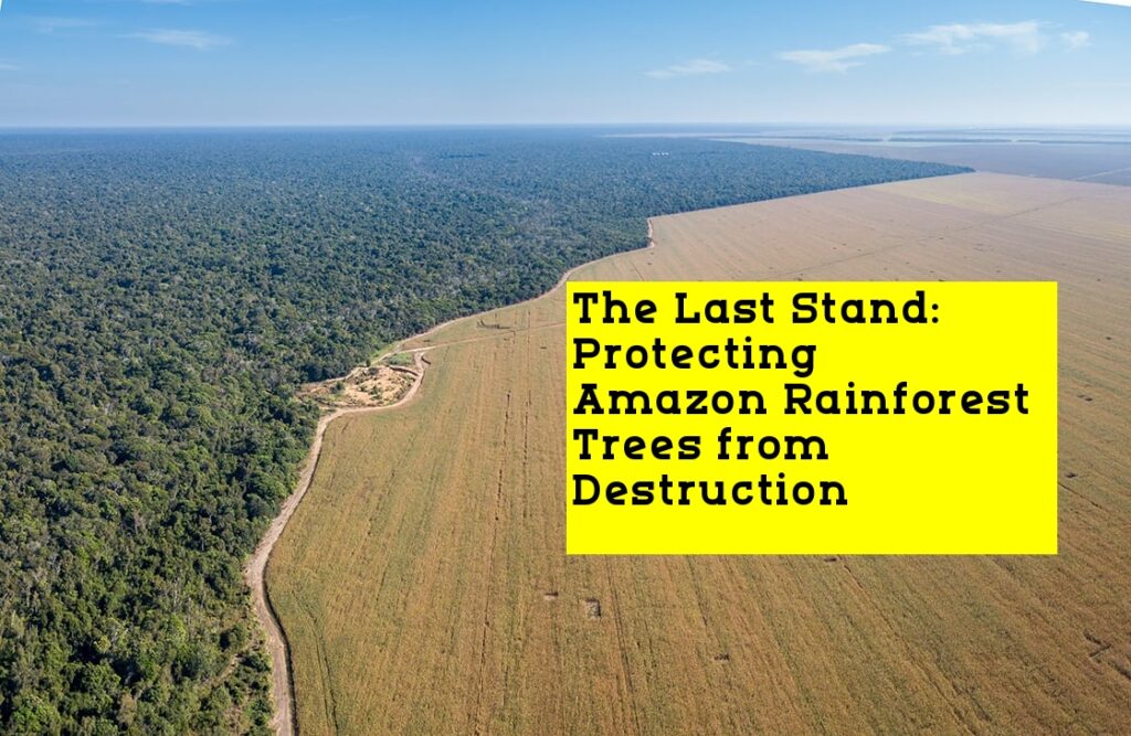 The Last Stand: Protecting Amazon Rainforest Trees from Destruction