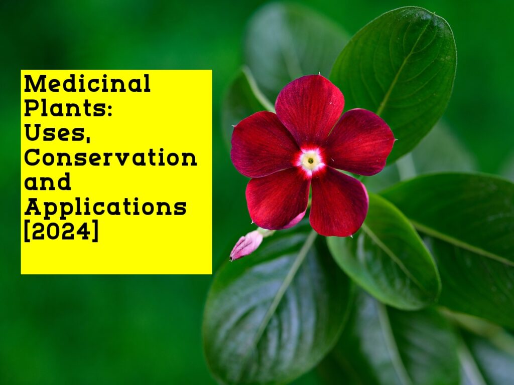 Medicinal Plants: Uses, Conservation and Applications [2024]